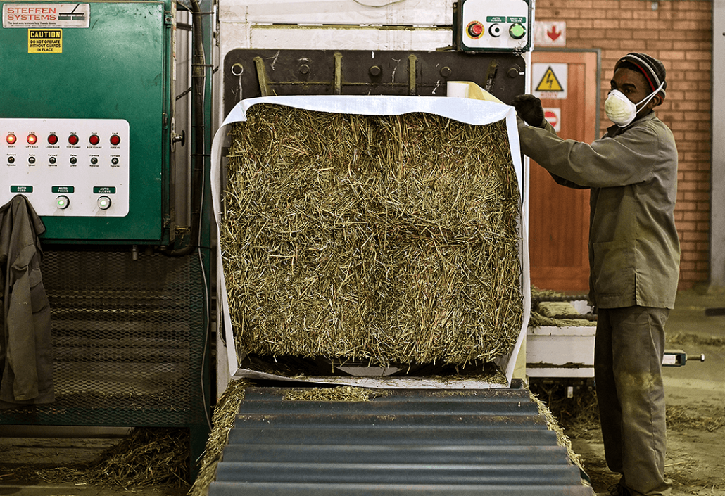 lucerne bales and man