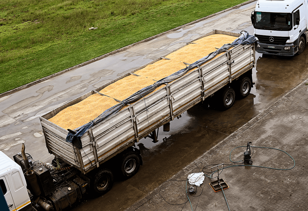grain on a truck