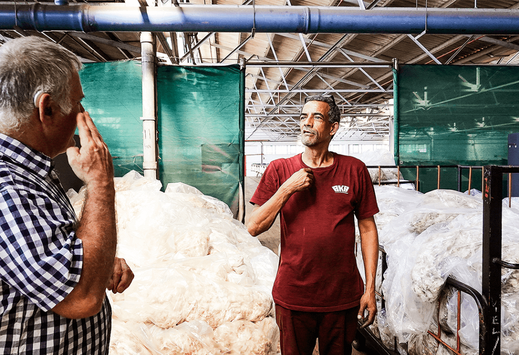 people using sign language in wool store