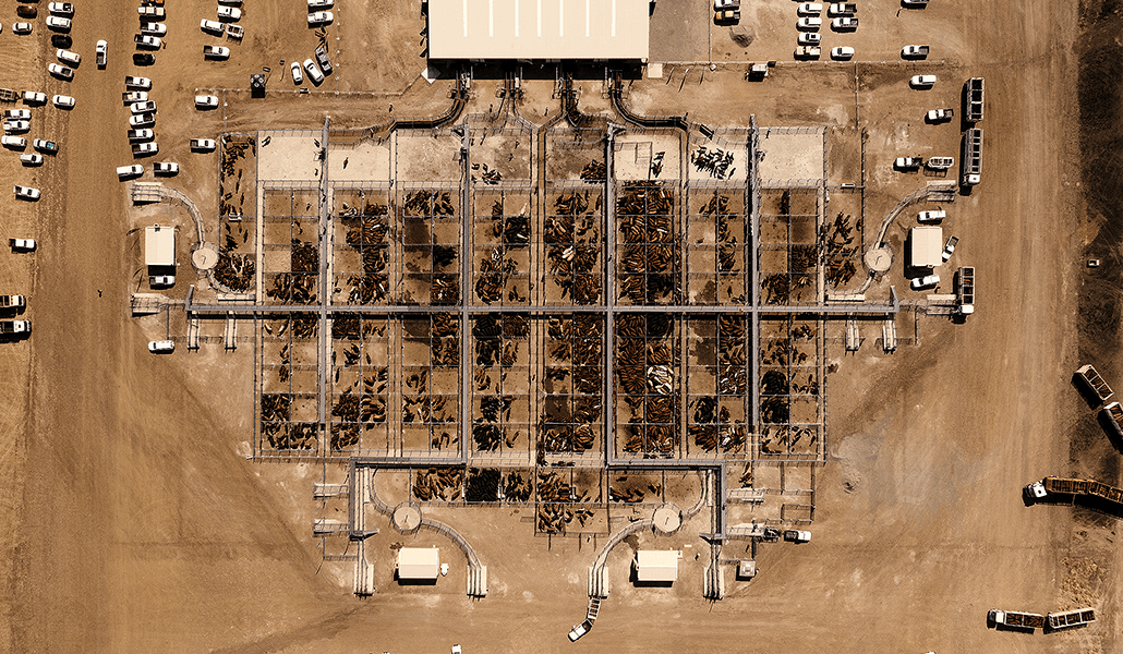 aerial view of Highveld auction