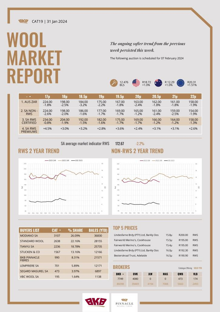 Wool Market Report - 31 January 2024