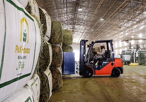 AlphaAlfa, a PakHouse Brand 