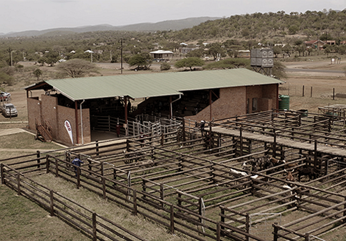 A Commitment to Prosperity