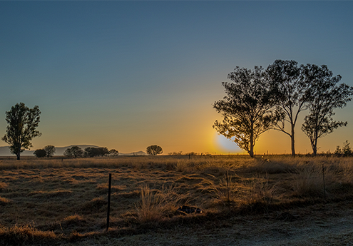 Dealing in BKB securities by an Associate of a Director of the Company