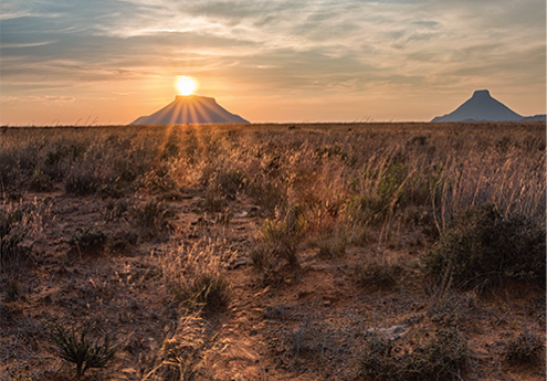 Interim Financial Statements 2022