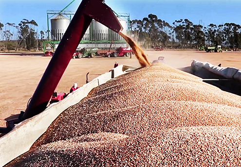 Joint announcement: Grain transaction between BKB and VKB – 20 January 2022