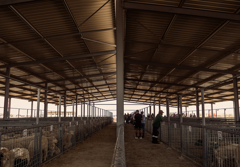 Highveld Auction Centre: The Heart of a Thriving Community