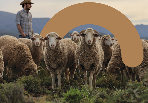 Innovate with nature. Leading the way to a regenerative future