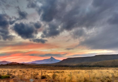 Joint Media Release: BKB & SA STUD BOOK