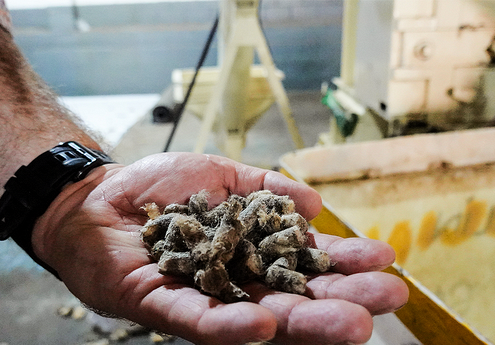 BKB Head Office Sustainability Journey