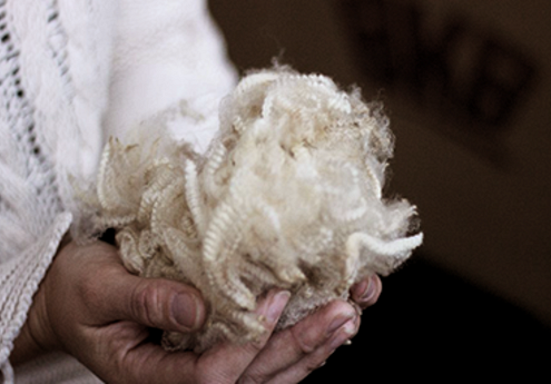 Wool Market Report - 19 January 2022