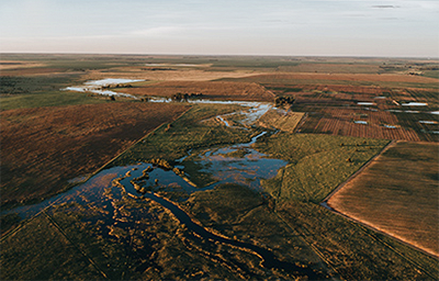 Real Estate Division