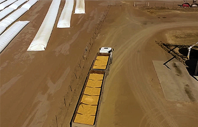 Grain Storage and Handling