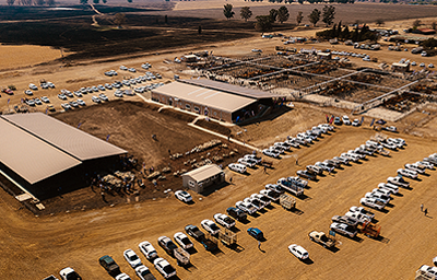 BKB Auction Facilities