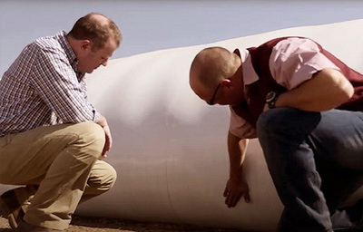 Professional Service